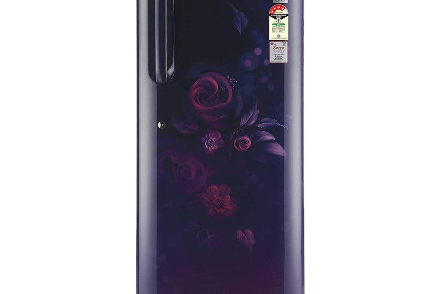 LG 224 L 4 Star Direct&Cool Inverter Single Door Refrigerator At just Rs. 22,190 [MRP 26,799]