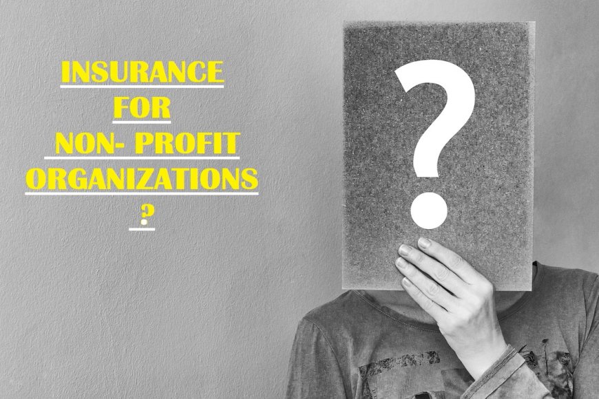 Insurance for Non& profit Organizations?