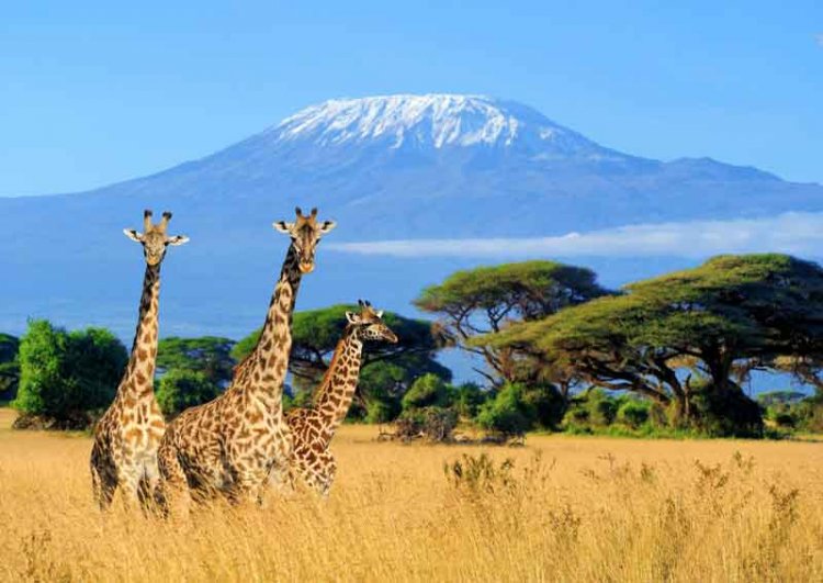 Kenya 6 Nights/ 7 Days Luxury Tour Package starts At just Rs. 99,995