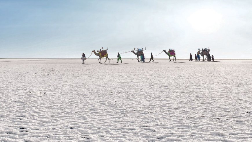 Enjoy White Rann Mahotsav 3 Nights/4 Days Tour Package Starting At just Rs. 14,995