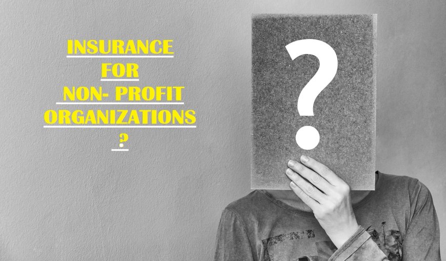 Insurance for Non- profit Organizations?