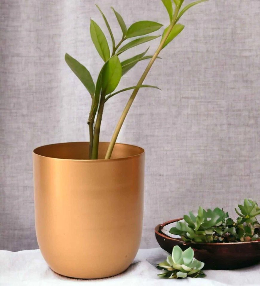 Rose Bowl Round Gold Metal Desk Pot At just Rs. 149 [MRP 532]