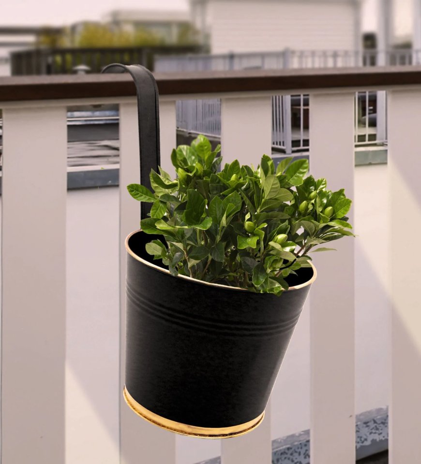 7 Inches Black Metal Railing Planter At just Rs. 149 [MRP 399]