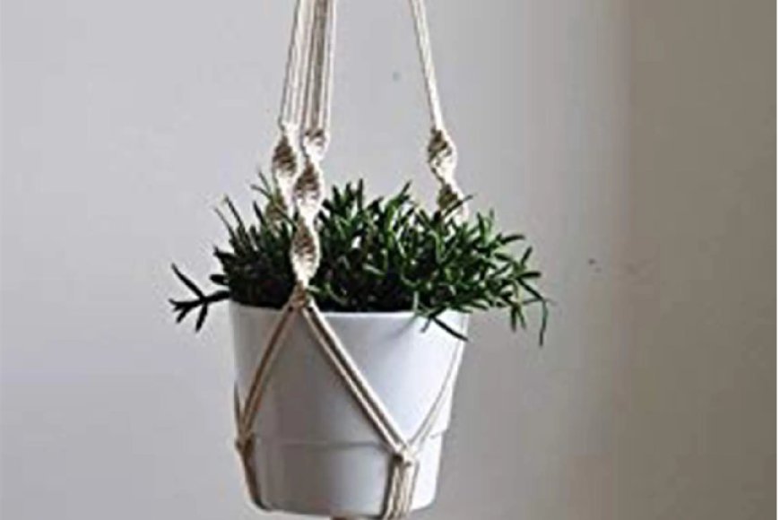 Off White Macrame Boho Hanging Planter At just Rs. 99 [MRP 499]