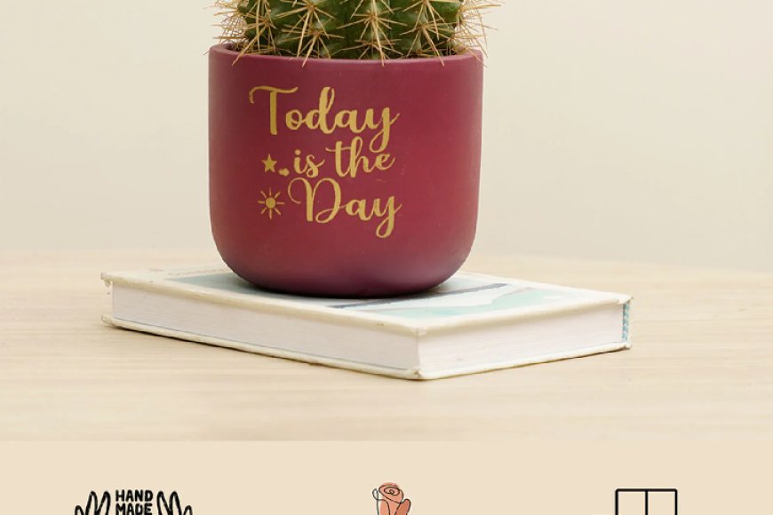 Daisy Today is the Day Maroon Terracotta Desk Pot At just Rs. 1 [MRP 999]