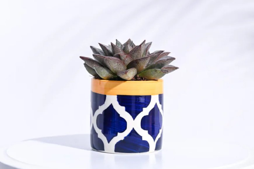 Rose Blue Ceramic Pipe Shape Desk Pot At just Rs. 129 [MRP 349]