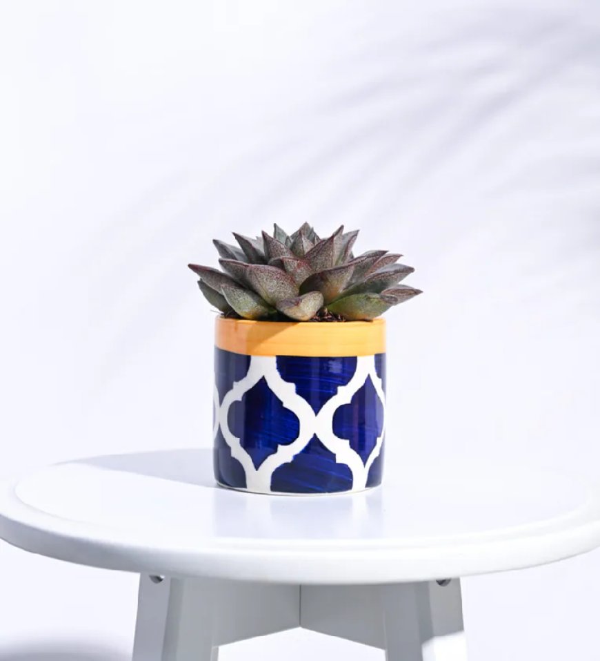 Rose Blue Ceramic Pipe Shape Desk Pot At just Rs. 129 [MRP 349]