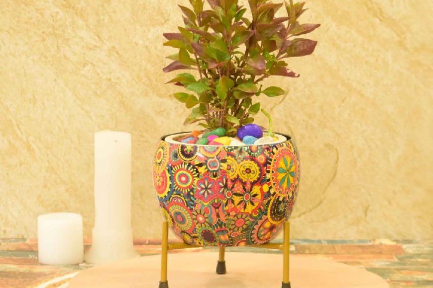 Ember Iron Multicolour Desk Pot At just Rs. 189 [MRP 479]