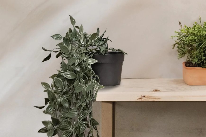 Artificial Creeper Potted Plant At just Rs. 199 [MRP 599]