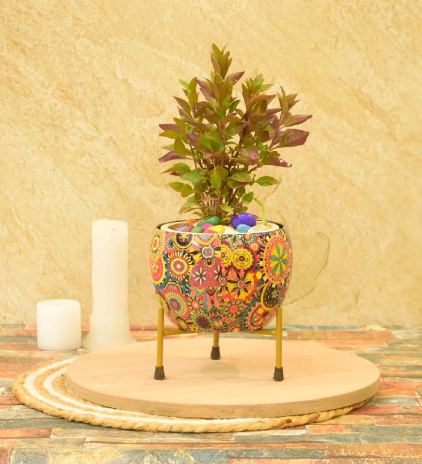 Ember Iron Multicolour Desk Pot At just Rs. 189 [MRP 479]