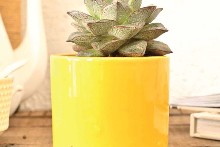 Yellow Ceramic Pipe Shape Desk Pot Planter At just Rs. 189 [MRP 599]