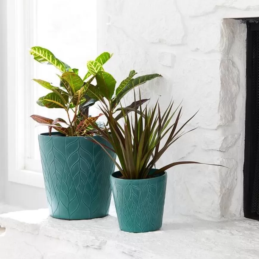 Mega Morya Sale: Up to 75% Off on Pots and Planters at Pepperfry