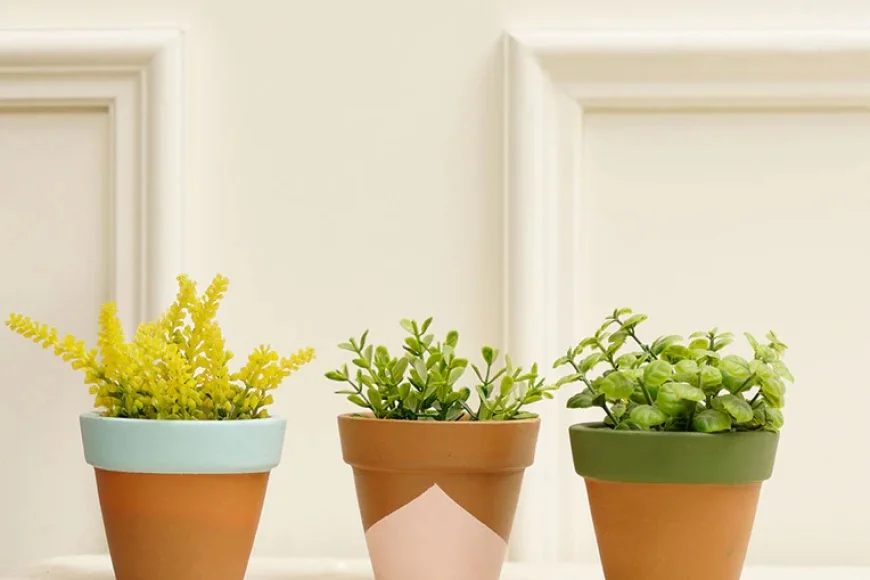 Buy Set of 3 Multicolour Terracotta Desk Pots at ₹229 | Pepperfry Offer