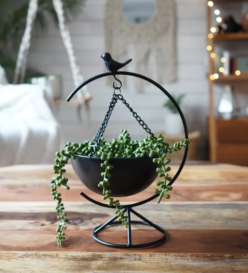 Steal the Deal Today: Stylish Black Metal Planter with Stand at ₹449 on Pepperfry