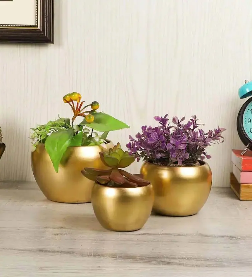 Apple Shape Planters Set of 3 at ₹249 – Hottest Deal on Pepperfry