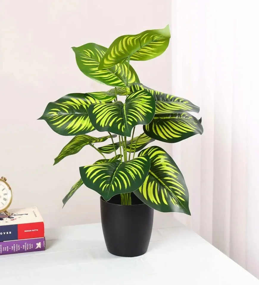 Buy Artificial PVC Silk Plant with Big Leaves at ₹229 | Pepperfry
