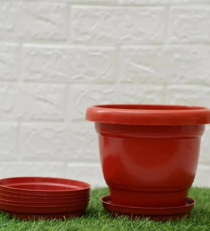 Buy Brown Plastic Desk Pot with Plate at ₹119 | Pepperfry