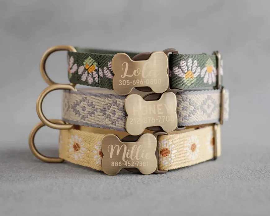 Up to 80% off on Dog Collars | Buy Pet Collars on Sale at Flipkart