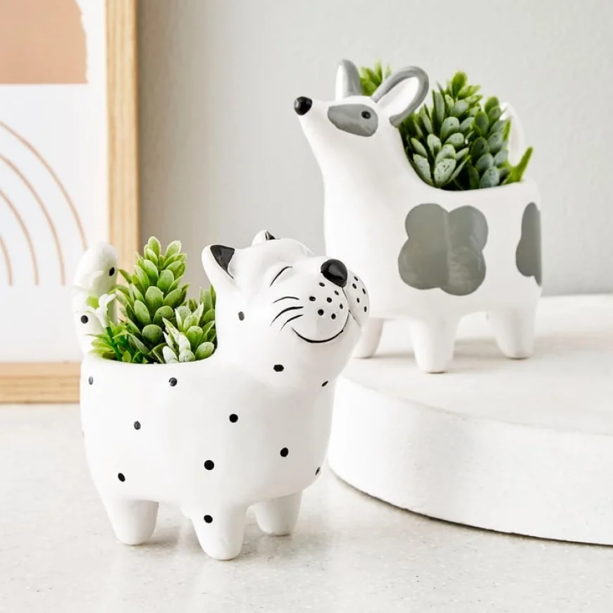 Up to 50% off on Pots & Planters | Shop Now on HomeCentre