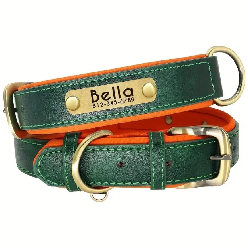 Up to 70% off on Dog Collars | Amazon Pet Sale