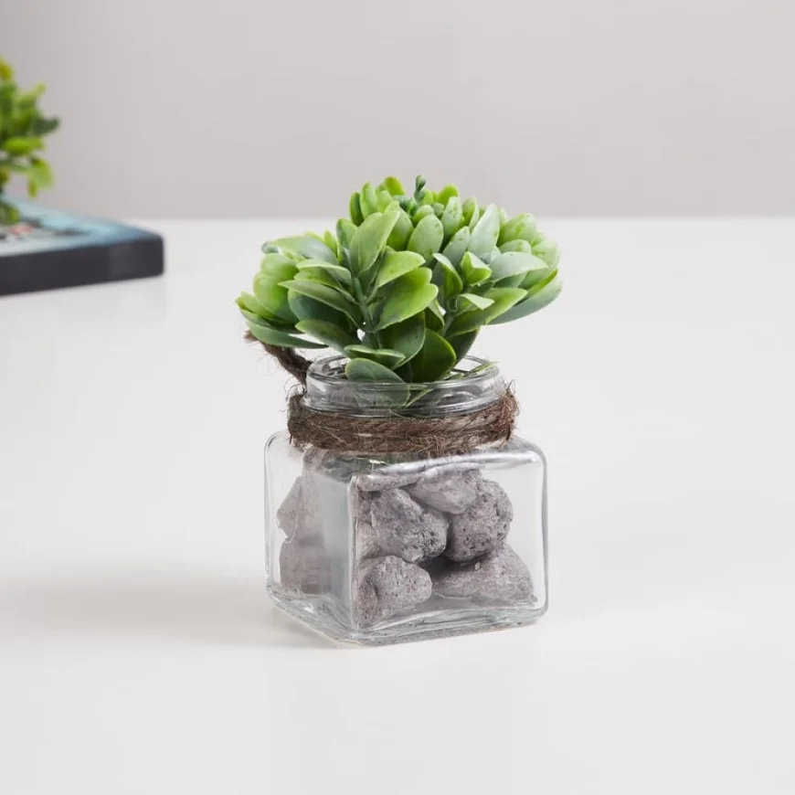 Up to 50% off Home Garden Decor – Shop on HomeCentre