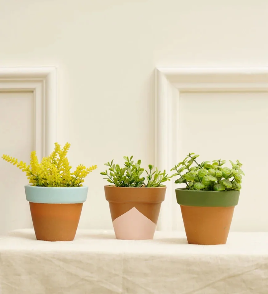 Buy Set of 3 Multicolour Terracotta Desk Pots at ₹229 | Pepperfry Offer