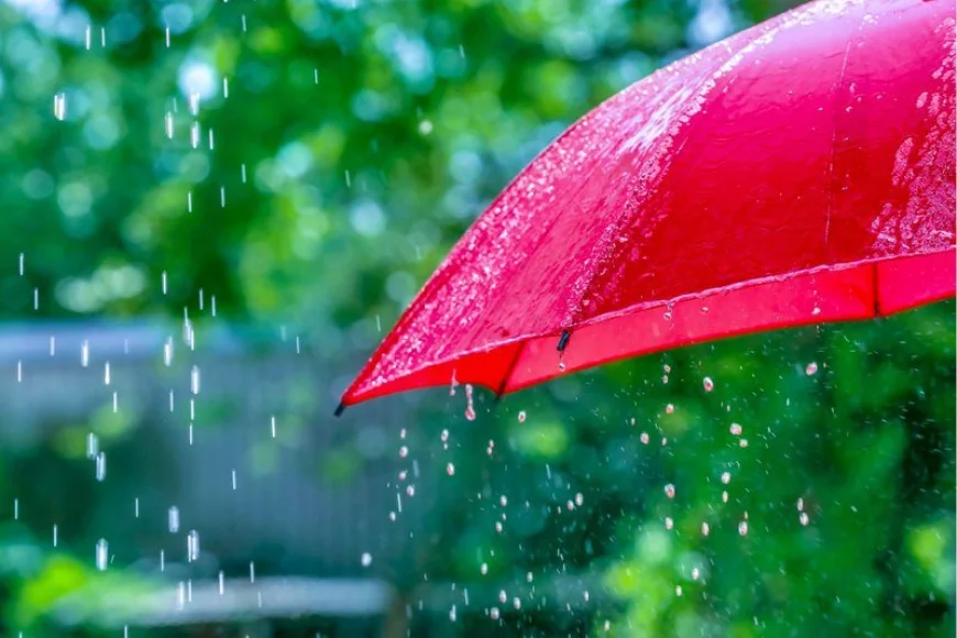 Up to 85% off Monsoon Essentials | JioMart Mega Sale
