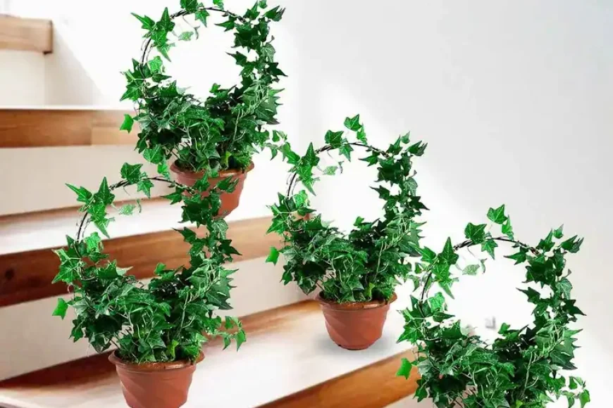 Up to 35% off Pack of 4 Decorative Metal Plant Stands | Pepperfry