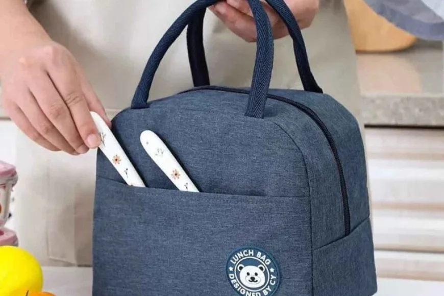 Buy Insulated Lunch Bag by Regalo Under Rs. 399 | Pepperfry