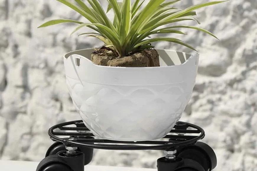 Buy 4-Wheel Metal Plant Stand Under Rs. 299 | Best Deal on Pepperfry