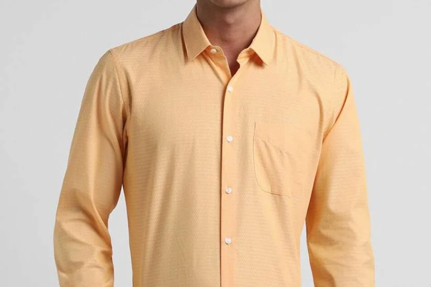 Up to 60% off Peter England Formal Shirts for Men – Shop on Myntra