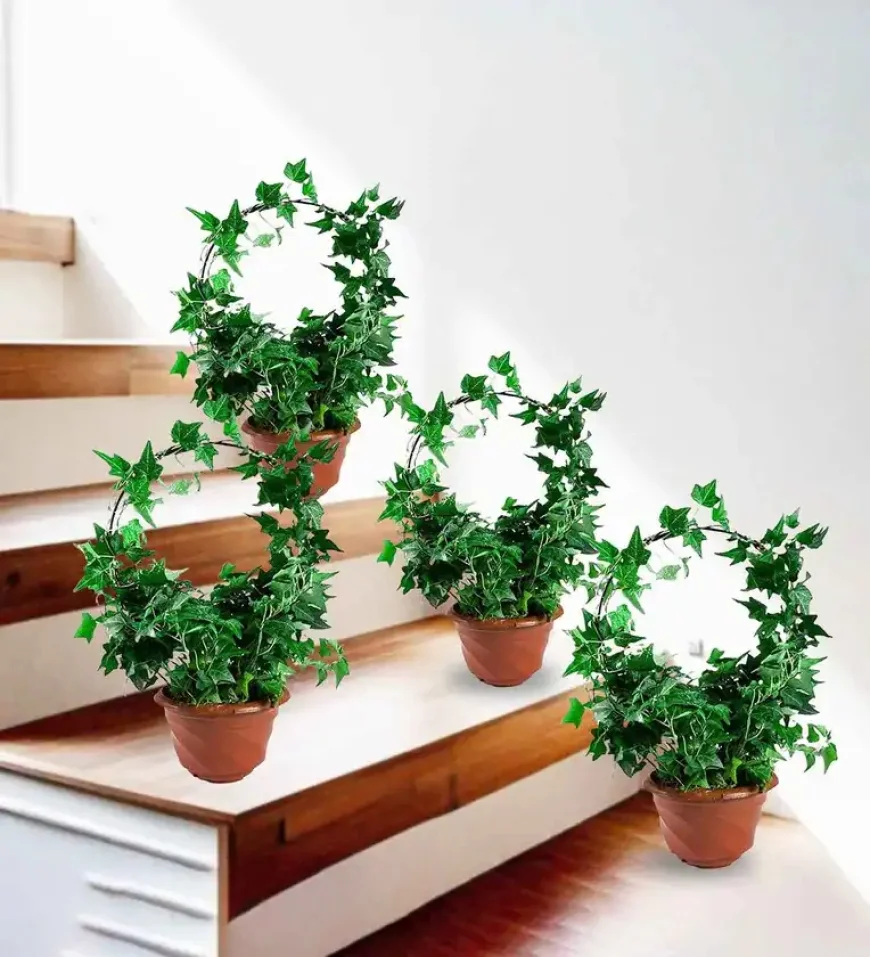 Up to 35% off Pack of 4 Decorative Metal Plant Stands | Pepperfry