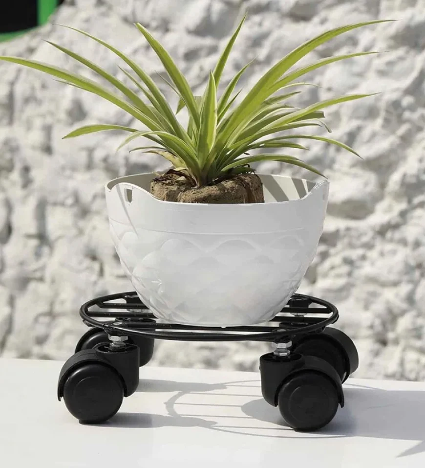 Buy 4-Wheel Metal Plant Stand Under Rs. 299 | Best Deal on Pepperfry